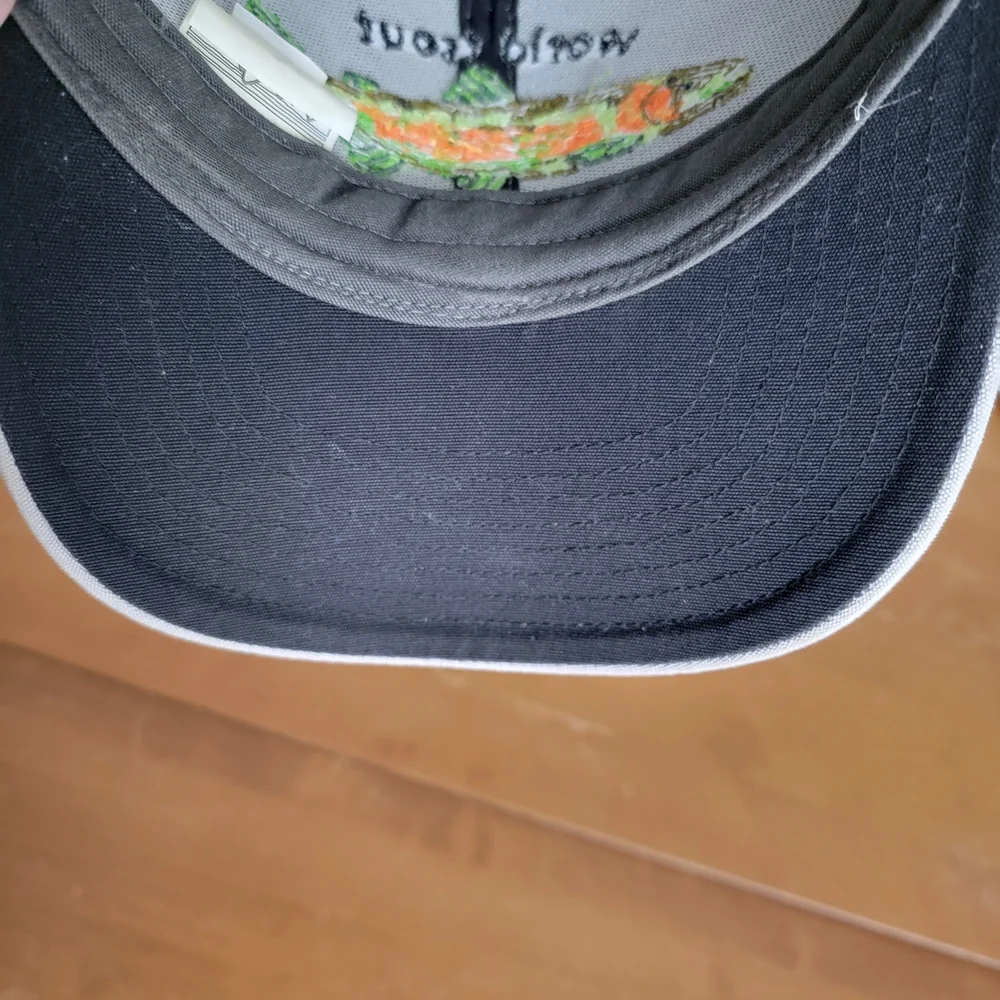Patagonia World Trout Fishstitch Trucker Hat  Gray EUC